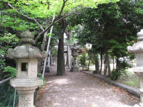 画像39